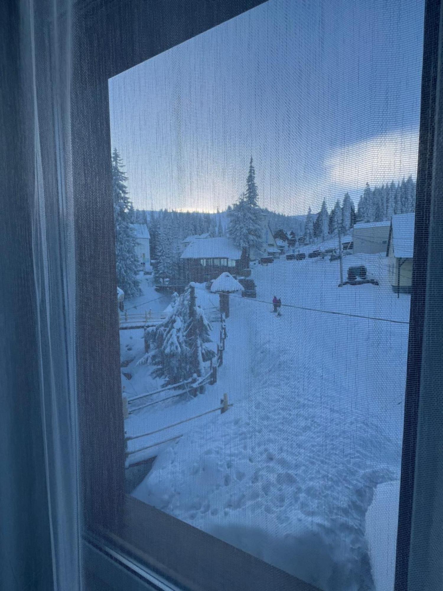 U Stozi Hotel Dragobrat Bagian luar foto